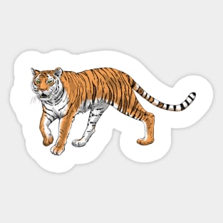 Tiger Sticker
